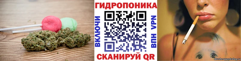 Печенье с ТГК марихуана  мега как зайти  Ачхой-Мартан 
