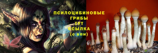 кокс Богородск