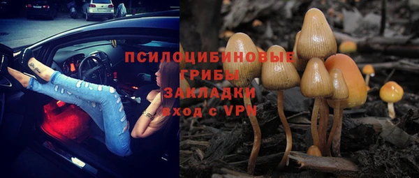 кокс Богородск